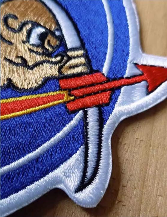 U.S. Air Force Experimental Test Badge | Embroidered Military Insignia | Vintage Reproduction